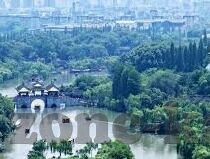 森林舞会飞禽走熊兽-森林舞会，飞禽走兽与熊的和谐乐章