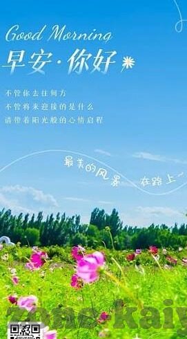 雪缘足球即时比分-雪缘足球即时比分，绿茵场上的数字心跳与足球情怀的交响