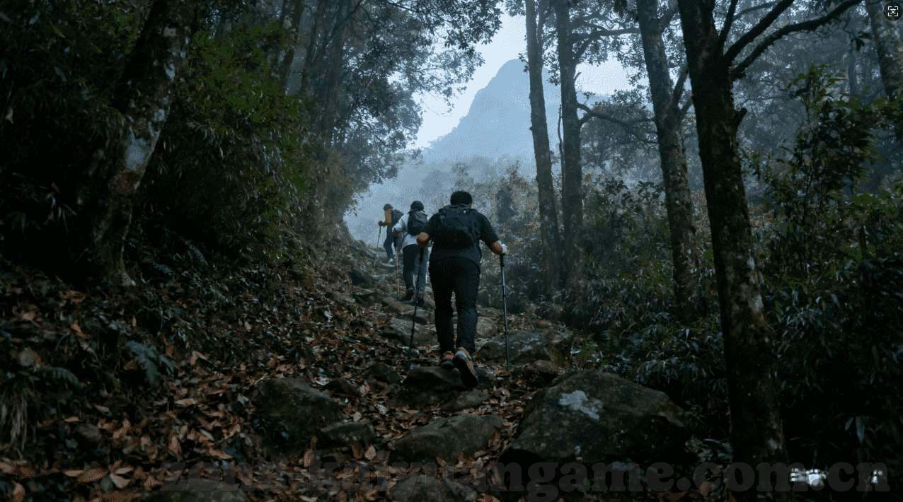 壹号娱乐平台下载-壹号娱乐平台，解锁专属娱乐盛宴，一键下载开启-壹号娱乐平台下载